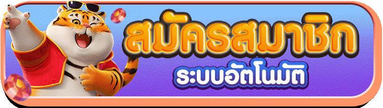 PINATA เข้าสู่ระบบ ล็อกอินสมาชิก PINATA1 ปลอดภัย